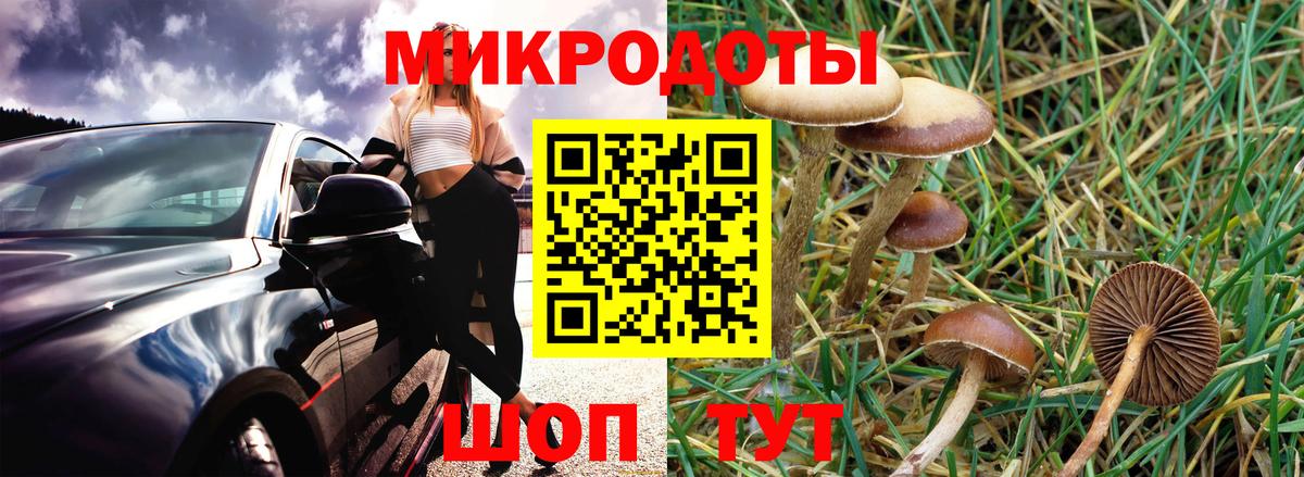 Мытищи  Псилоцибиновые грибы прущие грибы  Вход с VPN 
