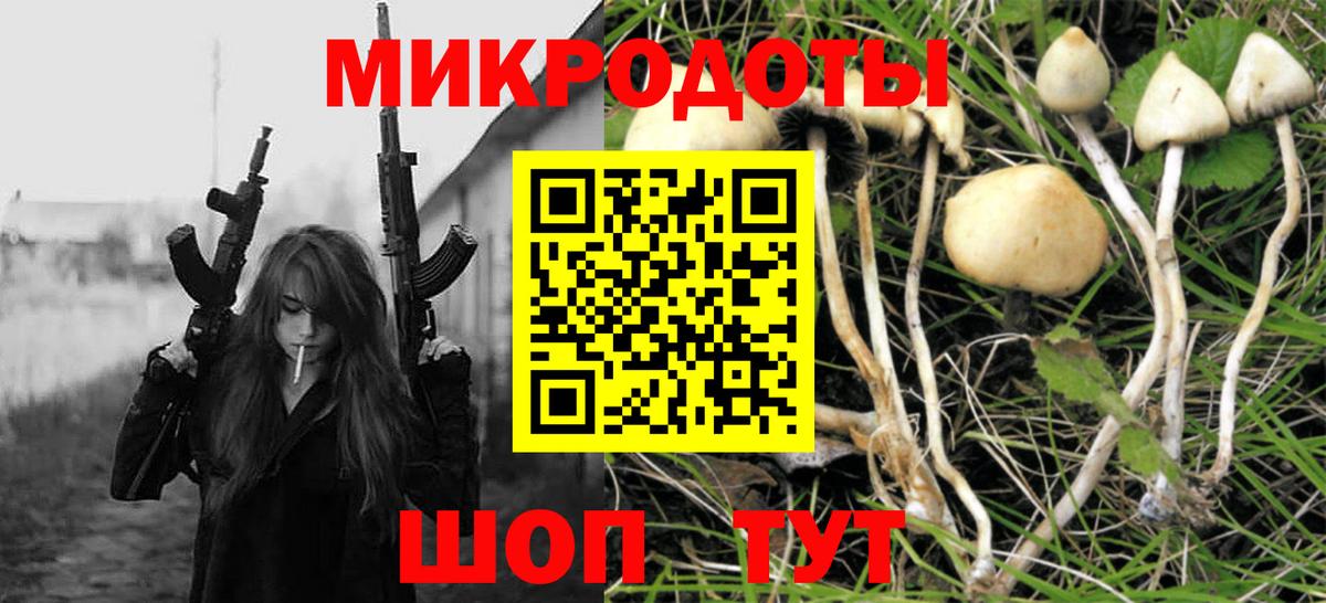 Псилоцибиновые грибы GOLDEN TEACHER Мытищи